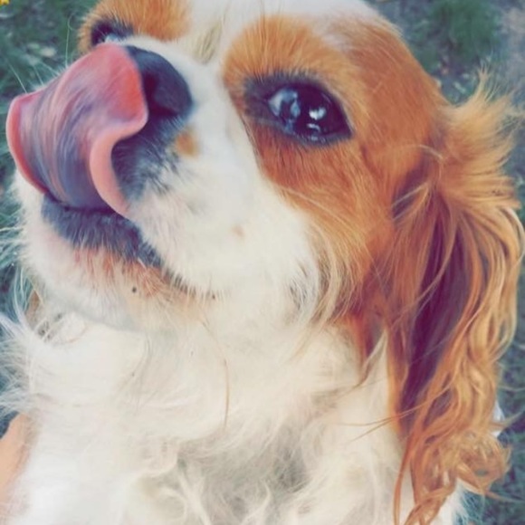 Meet your Posher, Cindy - Picture 3 of 10